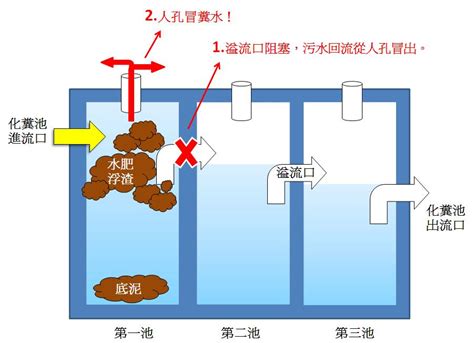 化糞池在哪|化糞池